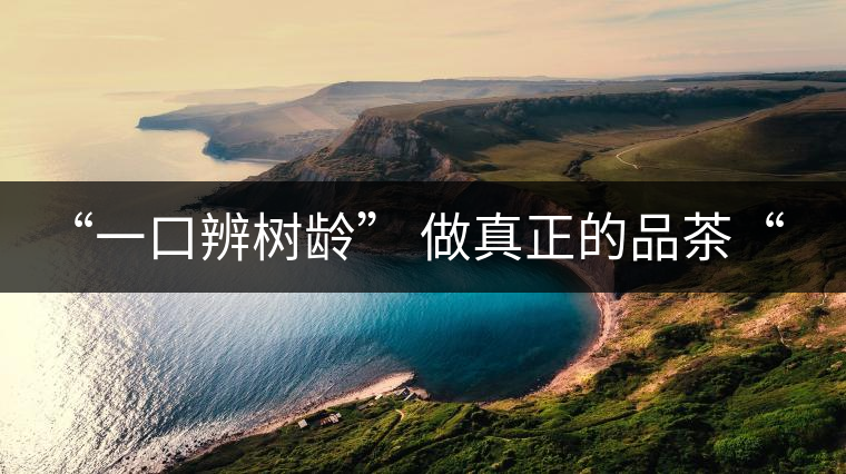 “一口辨樹齡” 做真正的品茶“大師”！