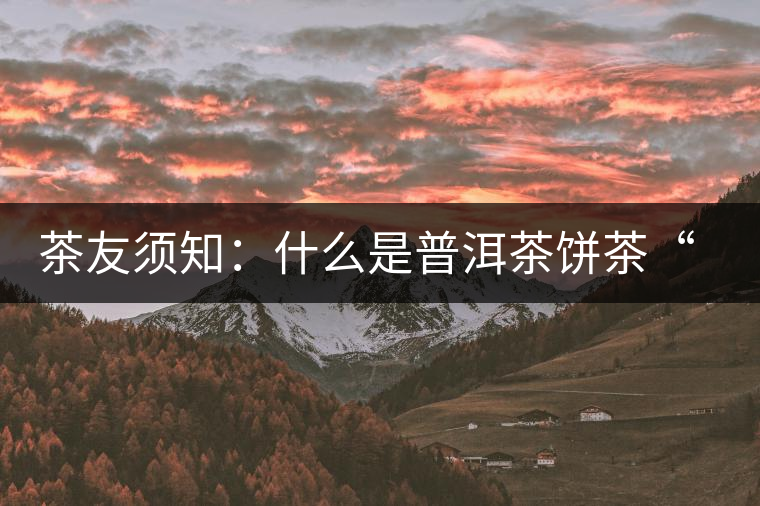 茶友須知：什么是普洱茶餅茶“八病”？如何鑒別？