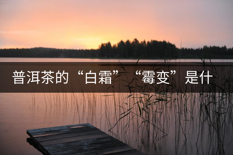 普洱茶的“白霜”“霉變”是什么鬼？