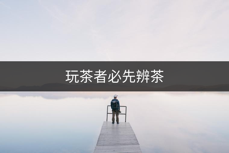玩茶者必先辨茶 玩茶者必先辨茶