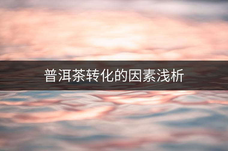 普洱茶轉(zhuǎn)化的因素淺析 普洱茶轉(zhuǎn)化的因素淺析