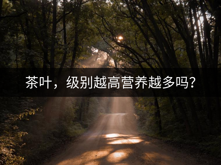 茶葉，級別越高營養(yǎng)越多嗎？