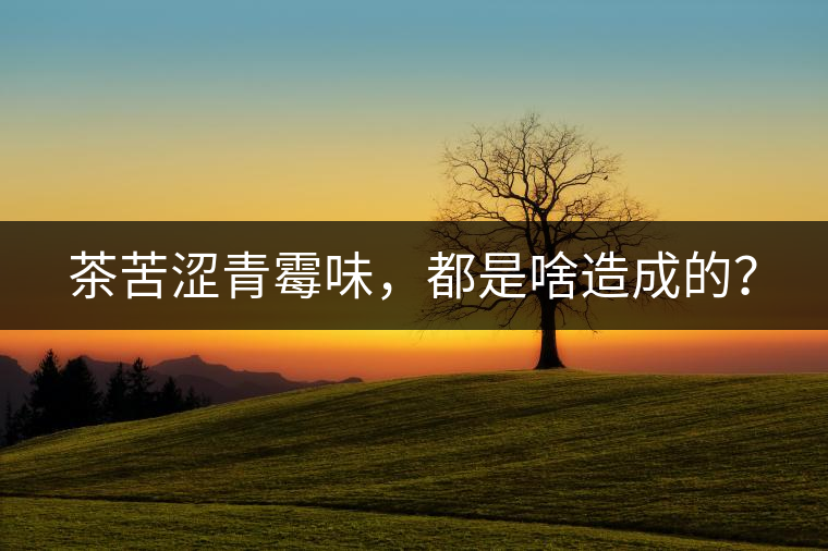 茶苦澀青霉味，都是啥造成的？