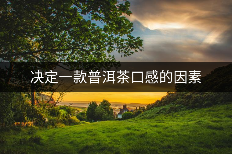 決定一款普洱茶口感的因素 決定一款普洱茶口感的因素