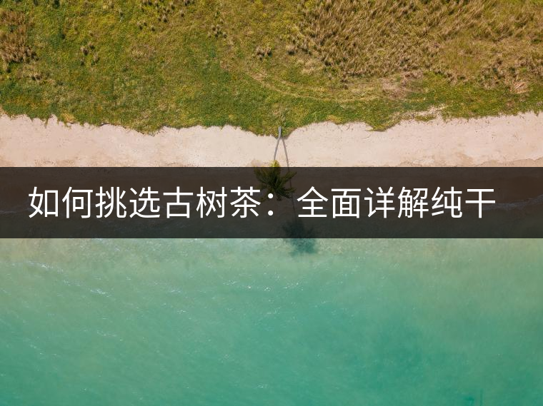 如何挑選古樹(shù)茶：全面詳解純干貨