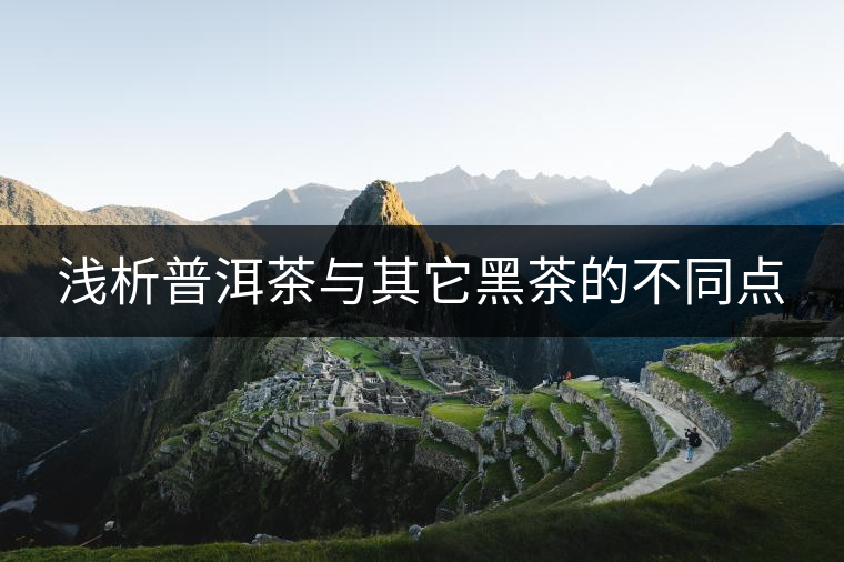 淺析普洱茶與其它黑茶的不同點(diǎn)