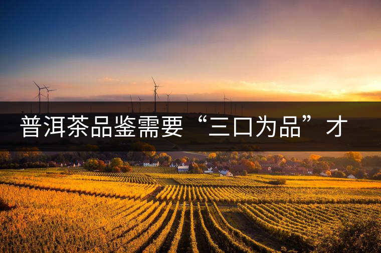 普洱茶品鑒需要“三口為品”才真實(shí)，那從哪里入手品鑒呢？