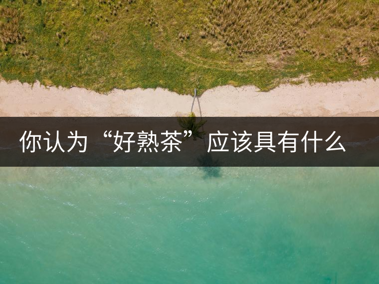 你認(rèn)為“好熟茶”應(yīng)該具有什么樣的標(biāo)準(zhǔn)? 你認(rèn)為“好熟茶”應(yīng)該具有什么樣的標(biāo)準(zhǔn)?