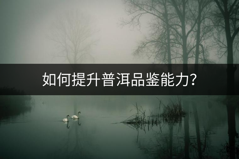 如何提升普洱品鑒能力？