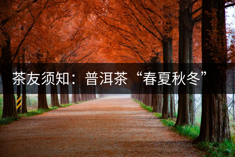 茶友須知:普洱茶“春夏秋冬”那些事 茶友須知:普洱茶“春夏秋冬”那些事