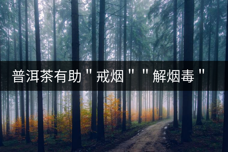 普洱茶有助"戒煙""解煙毒" 的機(jī)理 普洱茶有助"戒煙""解煙毒" 的機(jī)理
