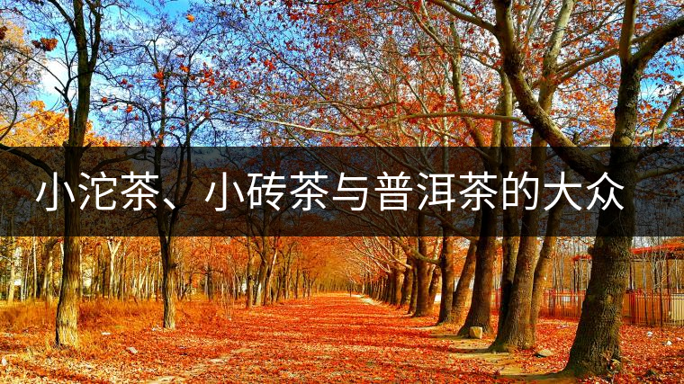 小沱茶、小磚茶與普洱茶的大眾化之路