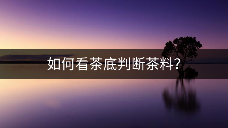 如何看茶底判斷茶料？