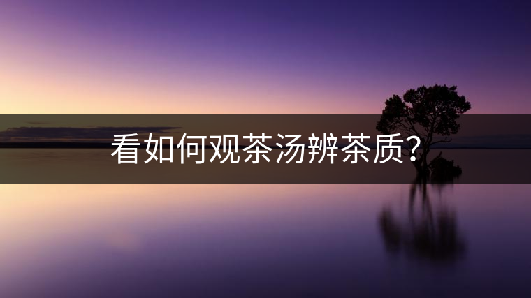 看如何觀茶湯辨茶質(zhì)？