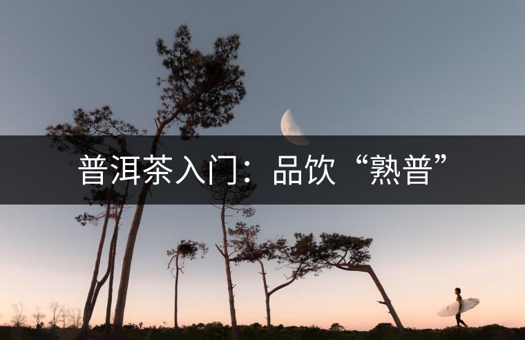 普洱茶入門:品飲“熟普” 普洱茶入門:品飲“熟普”