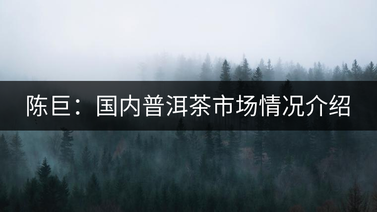 陳巨：國(guó)內(nèi)普洱茶市場(chǎng)情況介紹