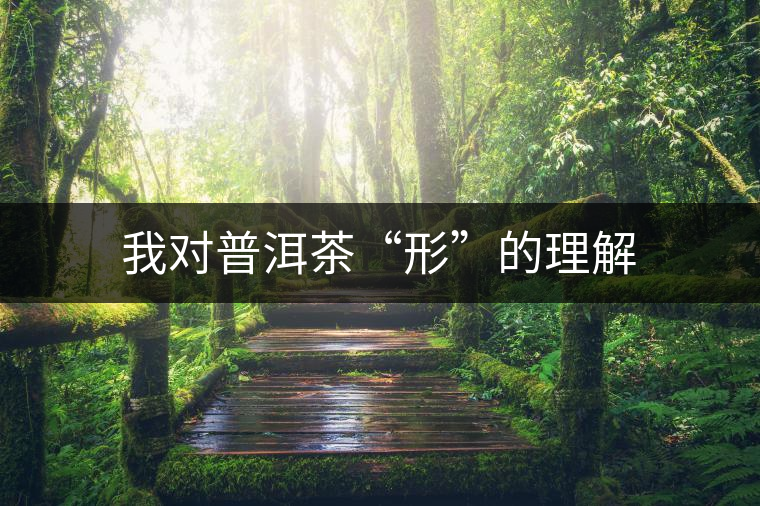 我對普洱茶“形”的理解 我對普洱茶“形”的理解