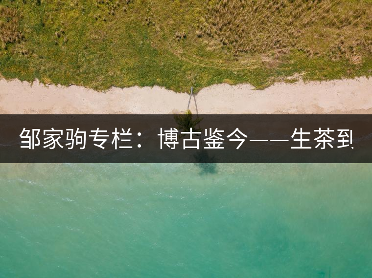 鄒家駒專(zhuān)欄：博古鑒今——生茶到底是不是普洱茶？