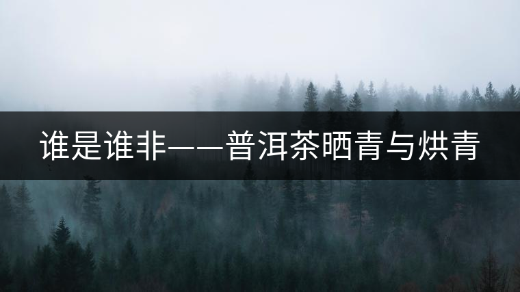 誰是誰非——普洱茶曬青與烘青