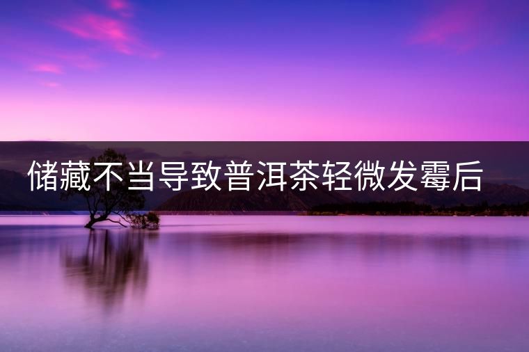 儲(chǔ)藏不當(dāng)導(dǎo)致普洱茶輕微發(fā)霉后如何處理？