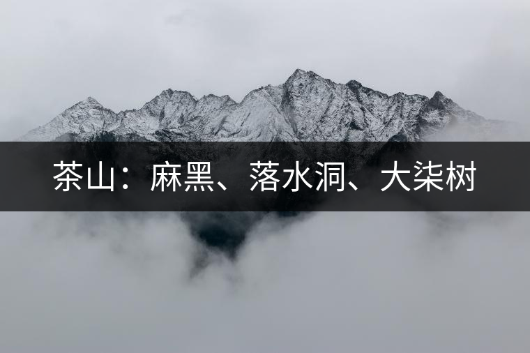 茶山：麻黑、落水洞、大柒樹