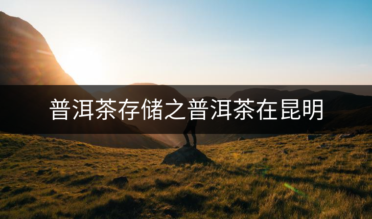 普洱茶存儲之普洱茶在昆明 普洱茶存儲之普洱茶在昆明