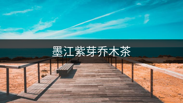 墨江紫芽喬木茶 墨江紫芽喬木茶