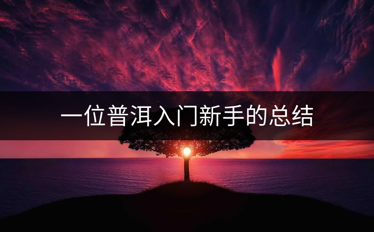 一位普洱入門新手的總結 一位普洱入門新手的總結