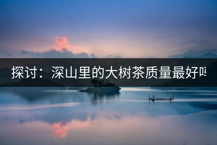 探討：深山里的大樹茶質(zhì)量最好嗎？