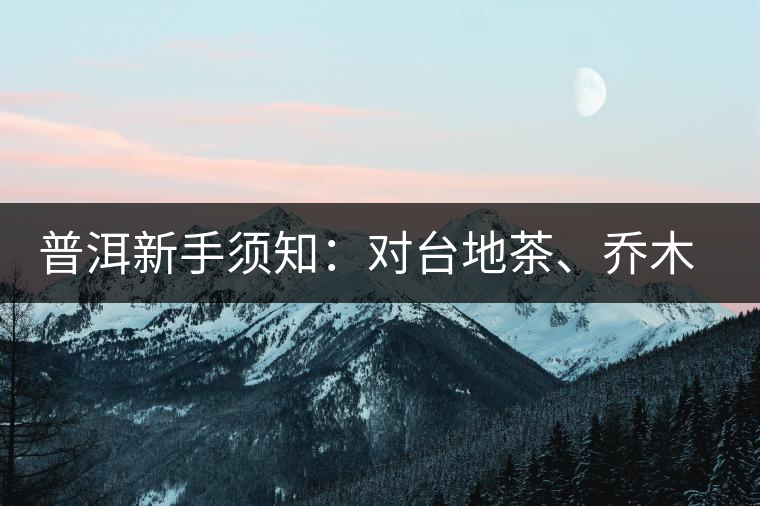 普洱新手須知：對(duì)臺(tái)地茶、喬木茶、古樹茶的簡(jiǎn)易理解