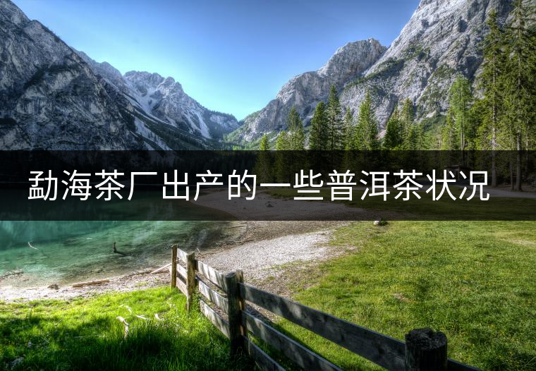 勐海茶廠出產(chǎn)的一些普洱茶狀況是怎樣? 勐海茶廠出產(chǎn)的一些普洱茶狀況是怎樣?