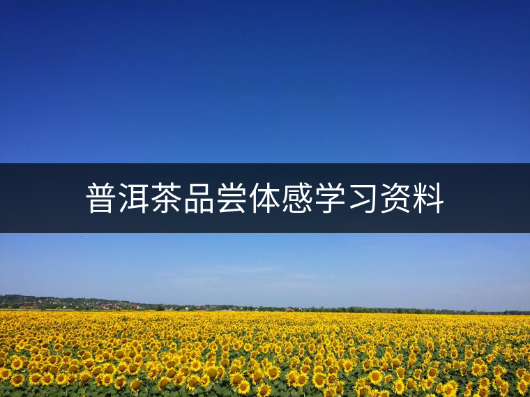 普洱茶品嘗體感學習資料