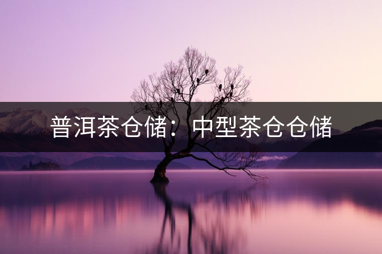 普洱茶倉儲(chǔ):中型茶倉倉儲(chǔ) 普洱茶倉儲(chǔ):中型茶倉倉儲(chǔ)