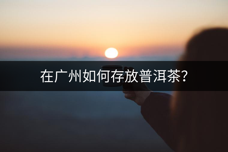 在廣州如何存放普洱茶？