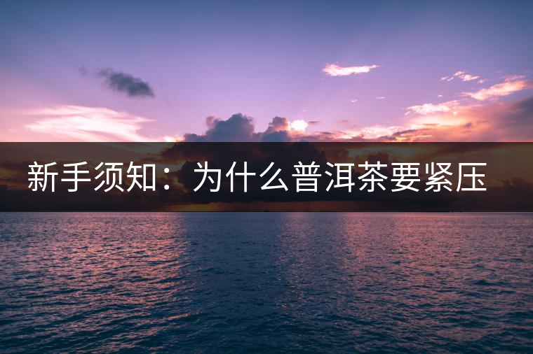 新手須知：為什么普洱茶要緊壓而不散存？