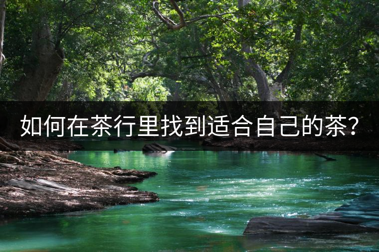 如何在茶行里找到適合自己的茶? 如何在茶行里找到適合自己的茶?