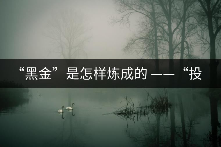 “黑金”是怎樣煉成的 ——“投資”普洱之“品種” “黑金”是怎樣煉成的 ——“投資”普洱之“品種”