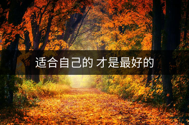 適合自己的 才是最好的