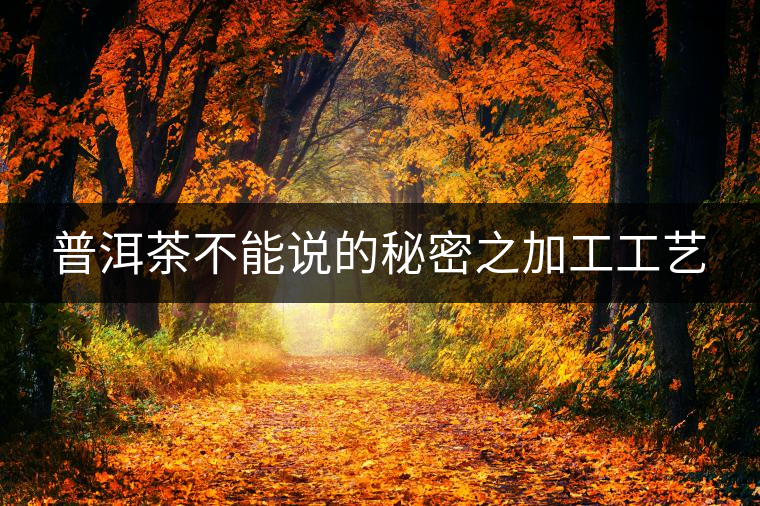 普洱茶不能說的秘密之加工工藝