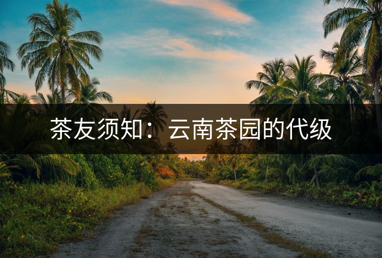 茶友須知:云南茶園的代級 茶友須知:云南茶園的代級