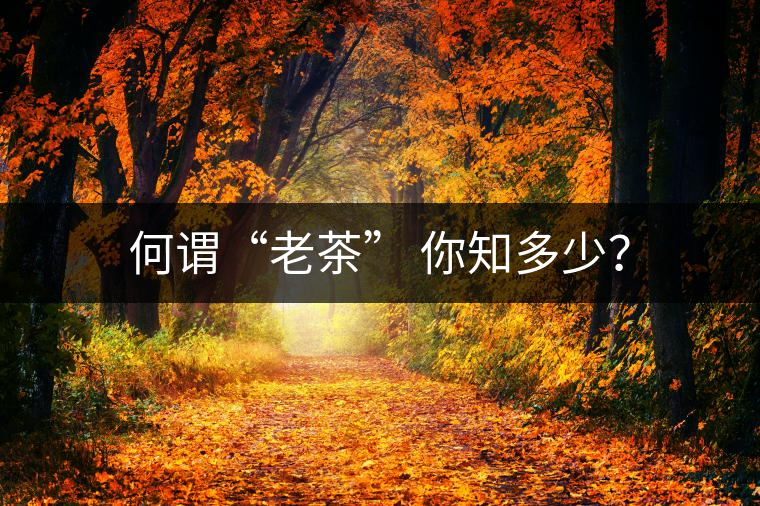 何謂“老茶” 你知多少？