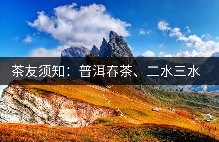 茶友須知：普洱春茶、二水三水茶和谷花茶