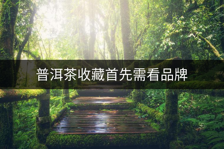 普洱茶收藏首先需看品牌