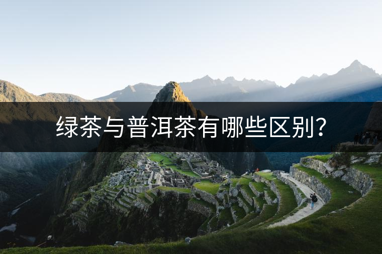 綠茶與普洱茶有哪些區(qū)別？