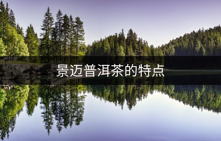 景邁普洱茶的特點(diǎn) 景邁普洱茶的特點(diǎn)