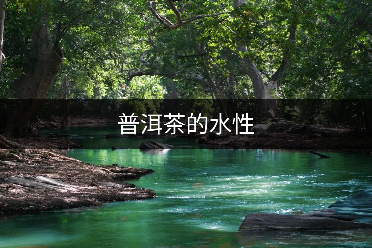 普洱茶的水性 普洱茶的水性