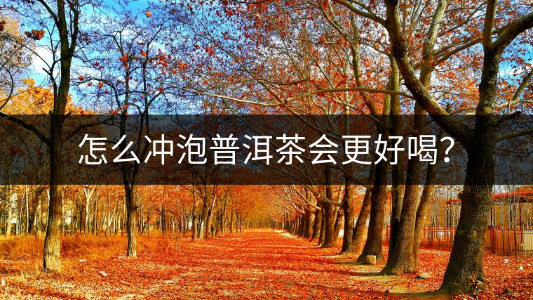 怎么沖泡普洱茶會更好喝？