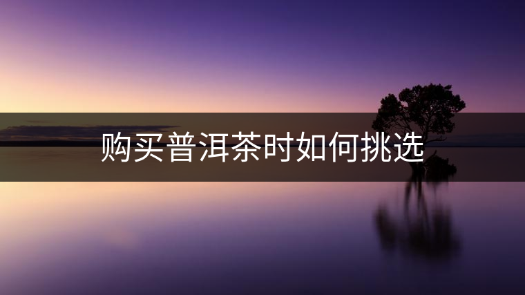購(gòu)買(mǎi)普洱茶時(shí)如何挑選 購(gòu)買(mǎi)普洱茶時(shí)如何挑選