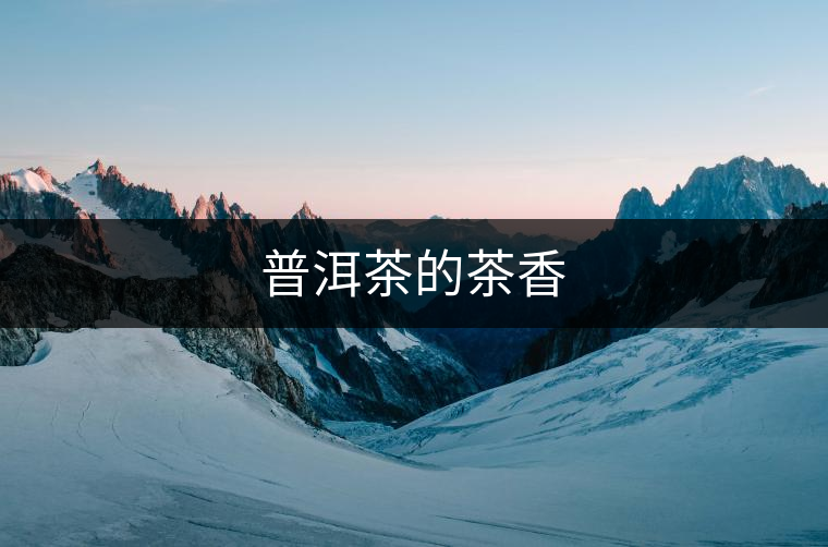 普洱茶的茶香