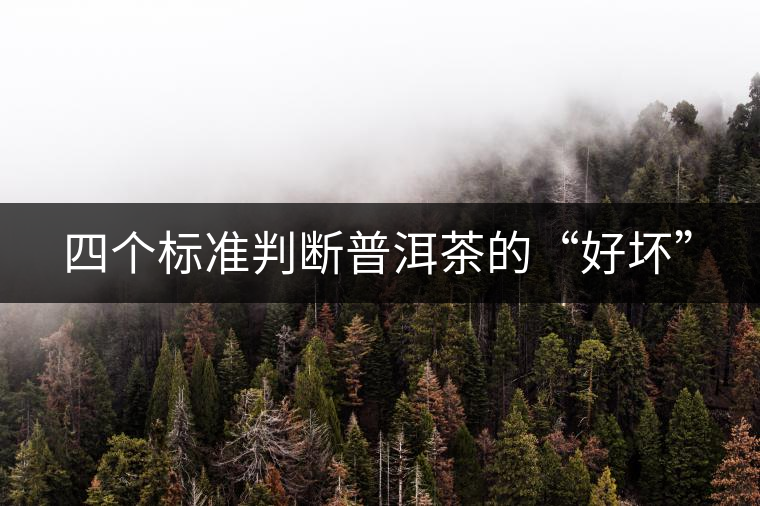 四個(gè)標(biāo)準(zhǔn)判斷普洱茶的“好壞” 四個(gè)標(biāo)準(zhǔn)判斷普洱茶的“好壞”